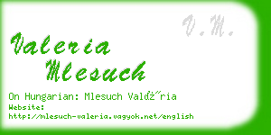 valeria mlesuch business card